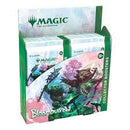 MTG: Bloomburrow Collector Booster Box