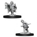 Nolzur's Marvelous Miniatures - Halfling Rouge