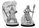 Nolzur's Marvelous Miniatures - Water Genasi Druid
