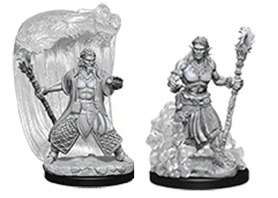 Nolzur's Marvelous Miniatures - Water Genasi Druid