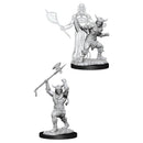Nolzur's Marvelous Miniatures - Human Barbarian