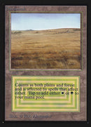 Savannah (IE) [Intl. Collectors’ Edition]