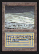 Tundra (CE) [Collectors’ Edition]