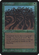 Wall of Wood [Limited Edition Alpha]