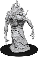 D&D Nolzur's Miniatures - Agnis Hag