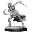 D&D Nolzurs Miniatures - Air Genasi Female