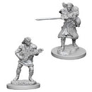 D&D Nolzurs Miniatures - Human Bard Male