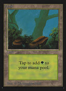 Forest (A) (CE) [Collectors’ Edition]