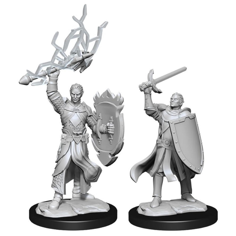 D&D Nolzur's Miniatures - Half-Elf Paladin