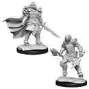 D&D Miniature Figure's - Dragonborn Fighters