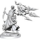 D&D Frameworks - Dragonborn Sorcerer