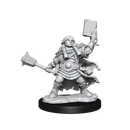 D&D Frameworks - Dwarf Cleric