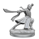 D&D Frameworks - Elf Monk