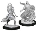D&D Nolzur's Miniatures - Elf Sorcerer