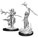 D&D Miniature Figurine - Human Druid (Female)