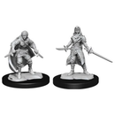 D&D Miniature Figures - Half-Elf Rogue