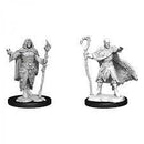 D&D Miniature Figurine - Human Druid (Male)