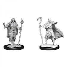 D&D Miniature Figurine - Human Druid (Male)