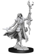 D&D Frameworks - Human Druid