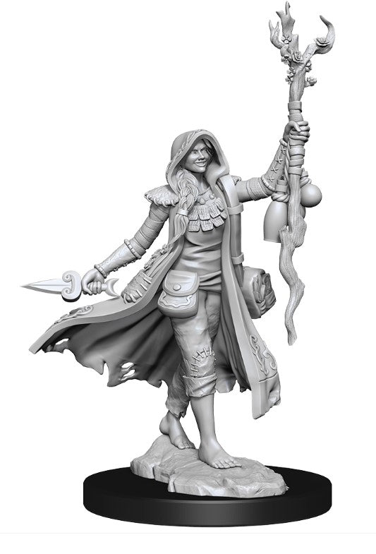 D&D Frameworks - Human Druid