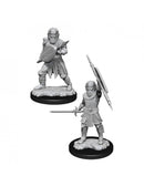 D&D Nolzur's Miniatures - Human Fighter