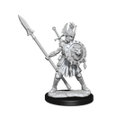 D&D Frameworks - Human Fighter