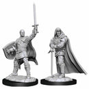 D&D Nolzur's Miniatures - Human Paladin