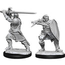 D&D Nolzur's Miniatures - Human Paladin