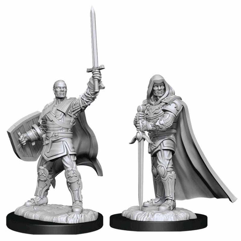 D&D Nolzur's Miniatures - Human Paladin