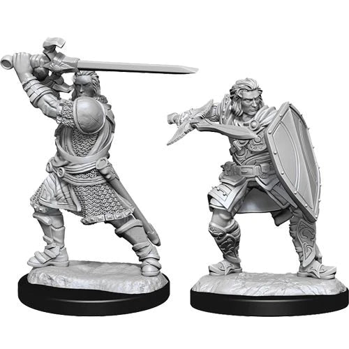 D&D Nolzur's Miniatures - Human Paladin