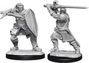 D&D Miniature Figures - Human Paladin