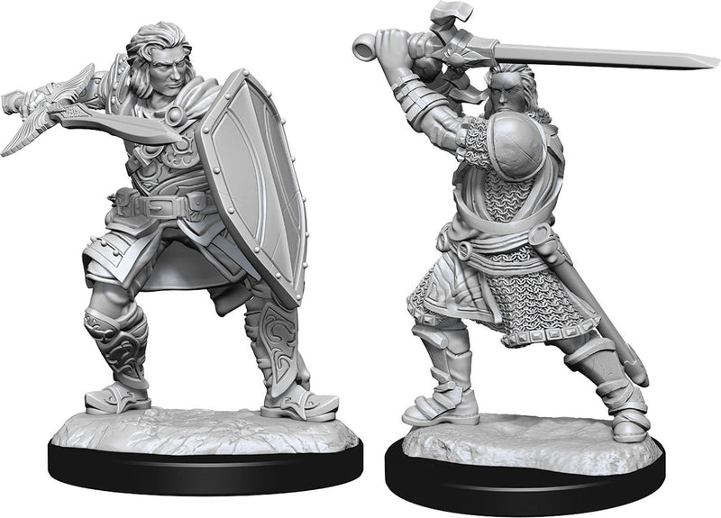 D&D Miniature Figures - Human Paladin