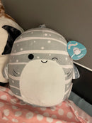 Squishmallow - 6inch Collection