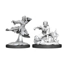 Nolzur's Marvelous Miniatures - Human Monk