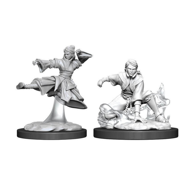 Nolzur's Marvelous Miniatures - Human Monk