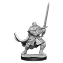 D&D Nolzurs Miniatures - Half Orc Paladin Male