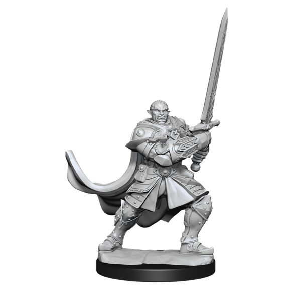 D&D Nolzurs Miniatures - Half Orc Paladin Male