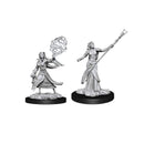 D&D Elf Sorcerer - Nolzur's Marvelous Miniatures