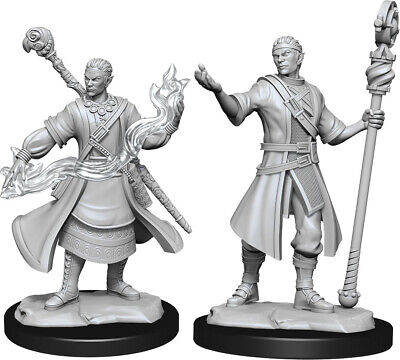 D&D Nolzur's Miniatures - Half-Elf Wizard