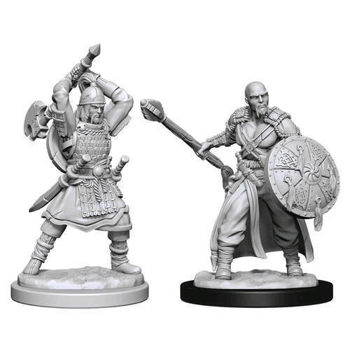 D&D Human Barbarian - Nolzur's Marvelous Miniatures