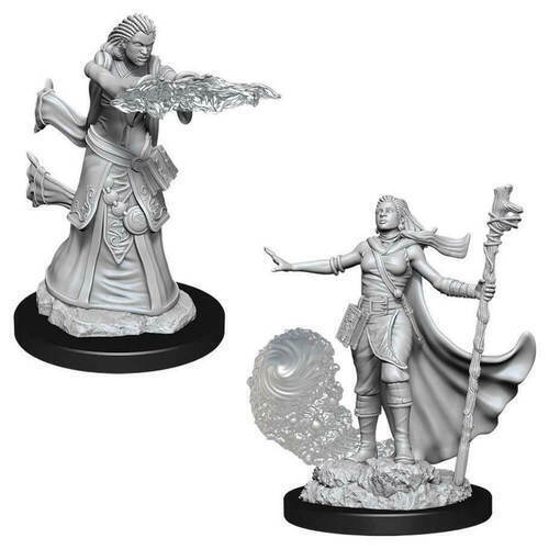 Nolzur's Marvelous Miniatures - Human Wizard