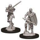 Nolzur's Marvelous Miniatures - Human Fighter