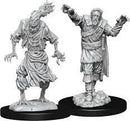 D&D MINIATURE FIGURINE -Scarecrow & Stone Cursed