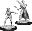 D&D Nolzur's Miniatures - Shifter Rogue