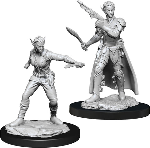 D&D Nolzur's Miniatures - Shifter Rogue