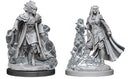 D&D Nolzurs Miniatures - Tiefling Sorcerer Female