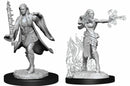 D&D Nolzur's Miniatures - Multiclass Warlock + Sorcerer