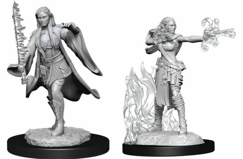 D&D Nolzur's Miniatures - Multiclass Warlock + Sorcerer