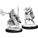 D&D Nolzurs Miniatures - Winter Eladrin & Spring Eladrin