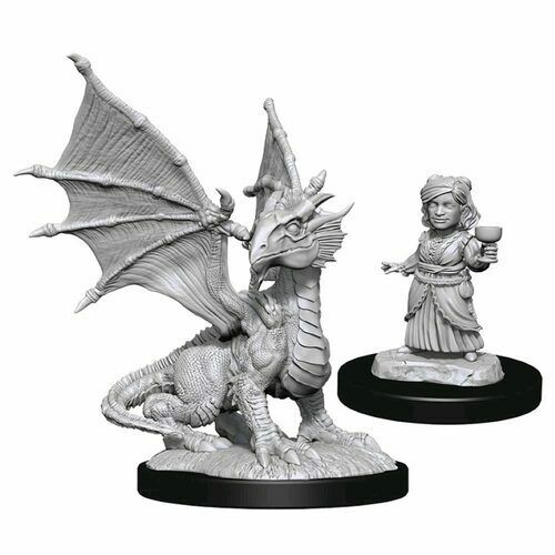 D&D Nolzur's Miniatures - Silver Dragon Wyrmling & Halfling Dragon Friend